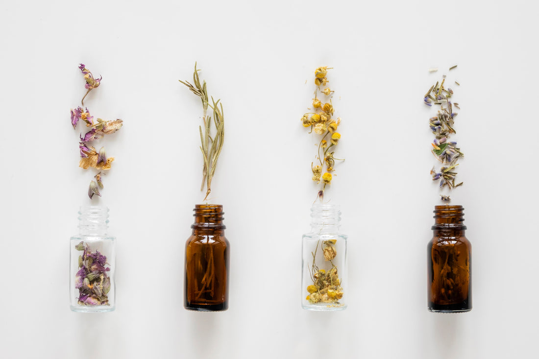 El poder invisible de los aromas