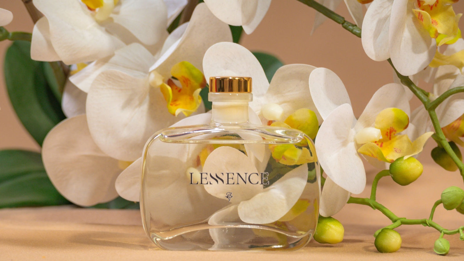 Reed Diffuser | Difusor de Caña