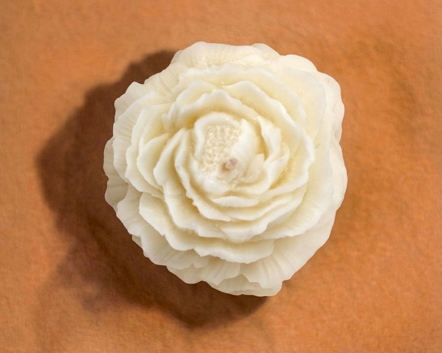 Peonias Flotantes